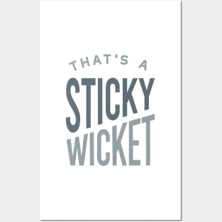 Funny Cricket That's a Sticky Wicket Posters and Art